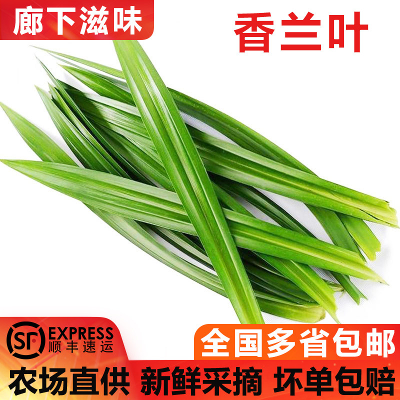 香兰叶500g斑斓叶甲抛叶千层蛋糕