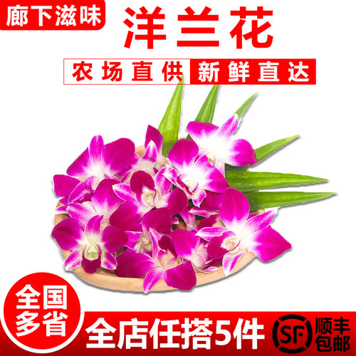 洋兰花250g新鲜杨兰花马兰花