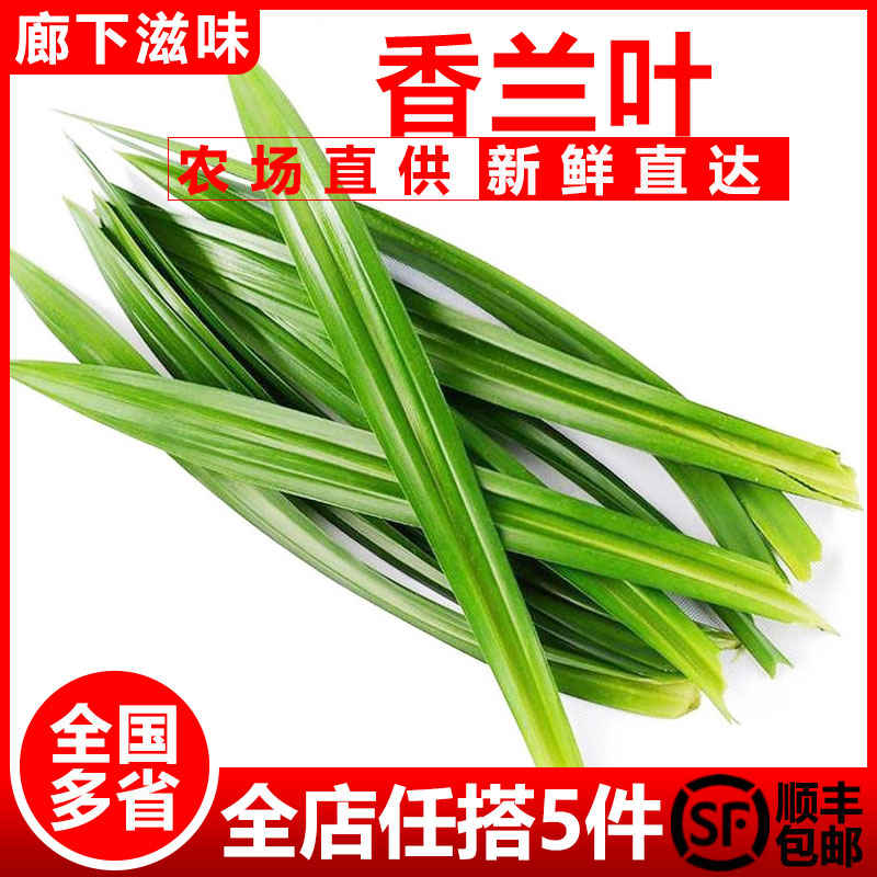 香兰叶500g斑斓叶甲抛叶千层蛋糕