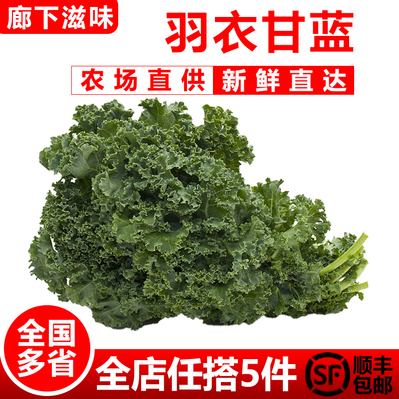 【廊下滋味】羽衣甘蓝500g