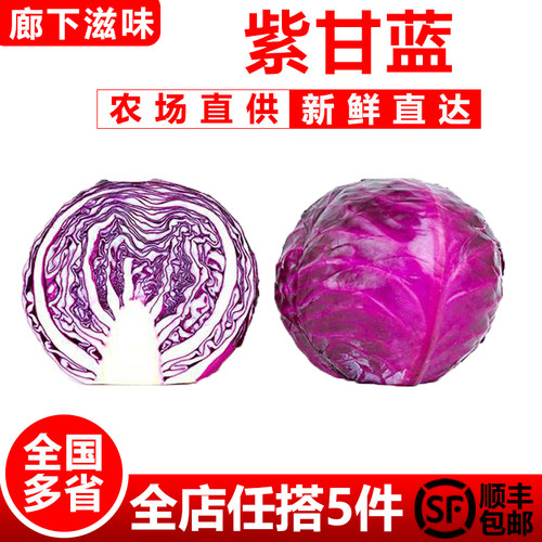 廊下滋味紫甘蓝650g紫包菜
