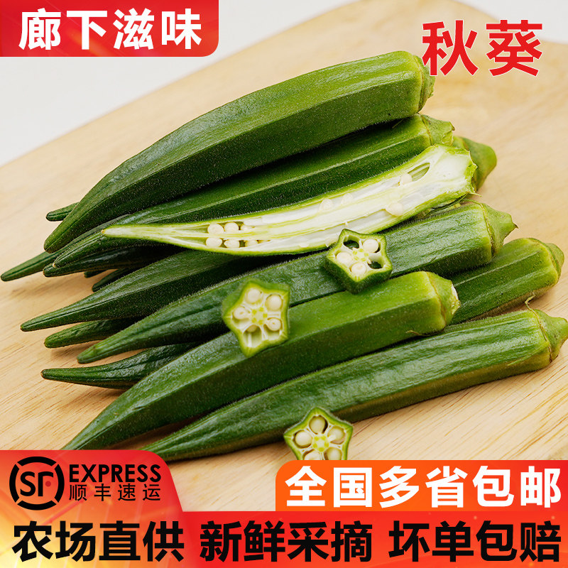 廊下滋味秋葵500-2500g 新鲜黄秋葵 六角羊角豆洋辣椒顺丰包邮