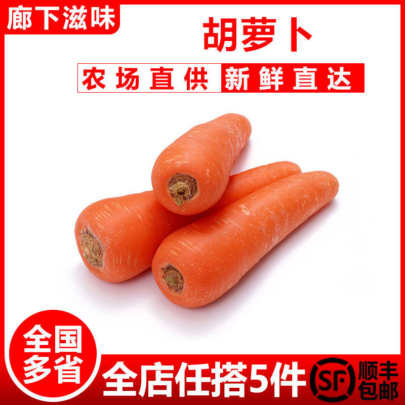 【廊下滋味】胡萝卜500g 水果萝卜脆甜生吃红心沙地罗卜现挖蔬菜,水产肉类/新鲜蔬果/熟食,萝卜/胡萝卜,淘宝优惠券,粉丝福利购,淘宝优惠卷