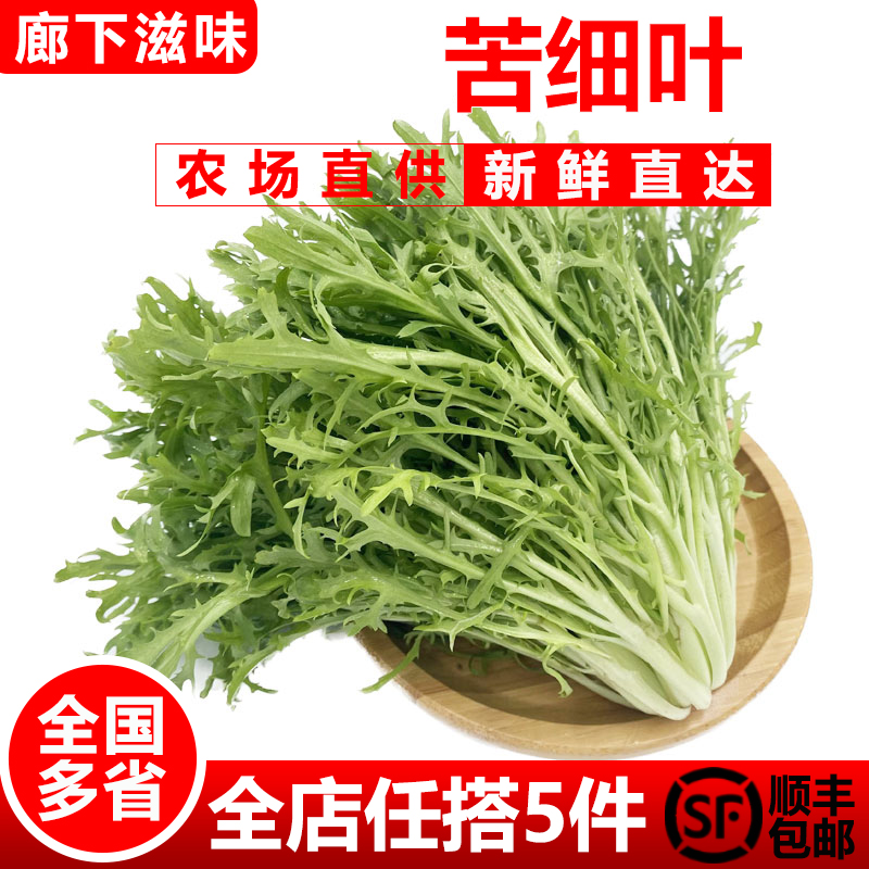 苦叶生菜500g新鲜蔬菜