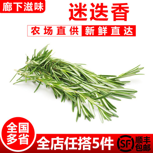 新鲜迷迭香250g西餐煎牛排