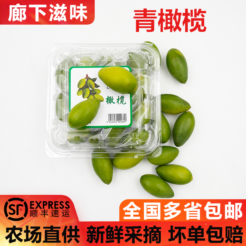新鲜青橄榄生橄榄果水果