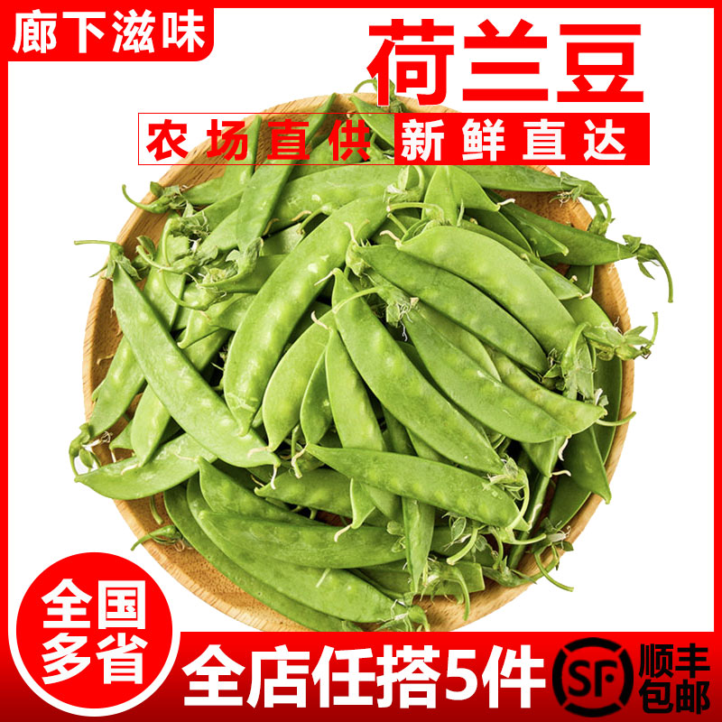 新鲜荷兰豆500g蔬菜甜豆青豆菜