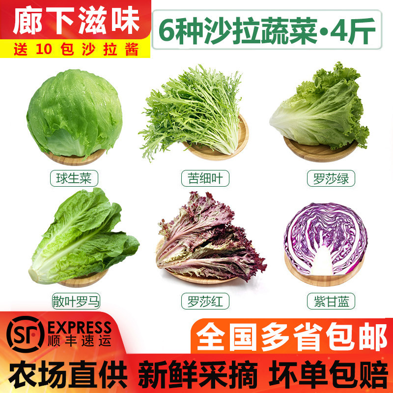 【廊下滋味】新鲜生菜组合4斤球生菜红叶等6种沙拉蔬菜轻食蔬菜包,水产肉类/新鲜蔬果/熟食,蔬菜沙拉,淘宝优惠券,粉丝福利购,淘宝优惠卷