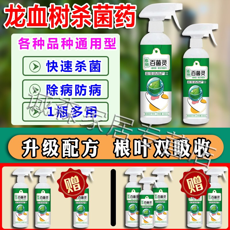 龙血树药肥料龙须叶子发黄焦尖枯叶病营养液植物叶面喷施