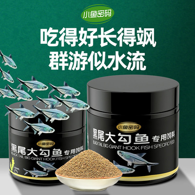 黑尾大勾鱼饲料一眉道人鱼黑尾背孔雀鱼小型鱼热带鱼红鼻剪刀鱼食