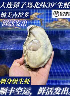 【顺丰特快】鲜活大连特产獐子岛生蚝刺身生蚝456XL三倍体生蚝
