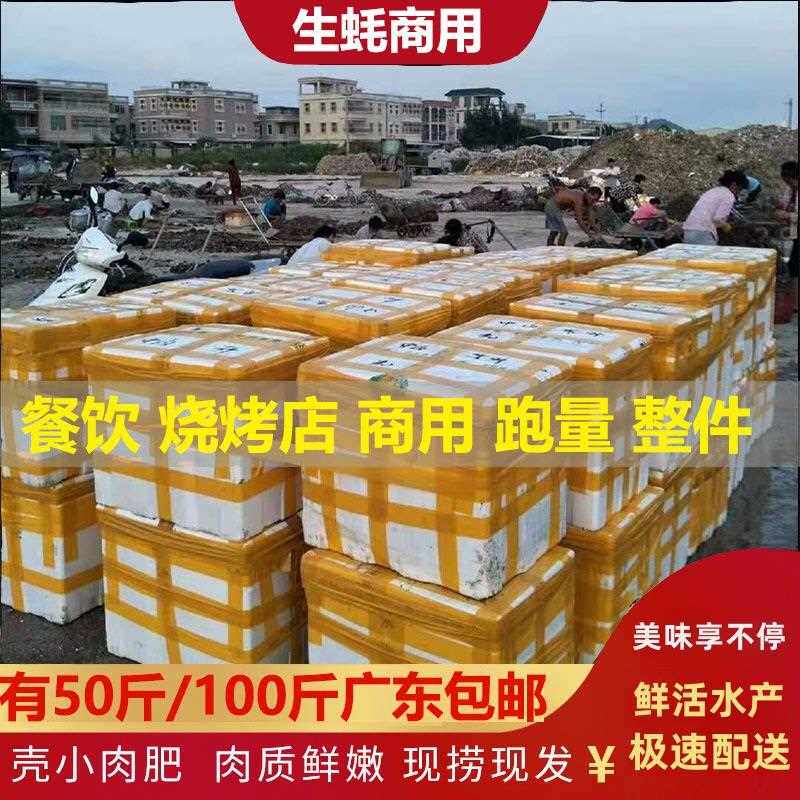 广东生蚝鲜活商用100斤大小一整箱50斤半全壳蚝烧烤摆摊一元一个