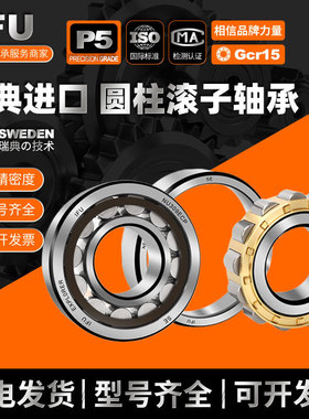 进口圆柱滚子轴承NUP2311 236 2305 NUP313 N2218 N219 N205 ECM