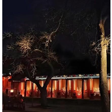 LED柔性灯带灯条装饰灯户外氛围灯室外硅胶幻彩霓虹灯带防炫1616