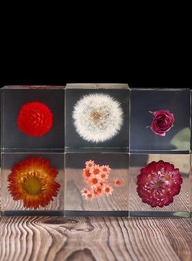 严选树脂立方体雏菊水晶摆件七彩菊太阳花千日红蒲公英水晶块永生