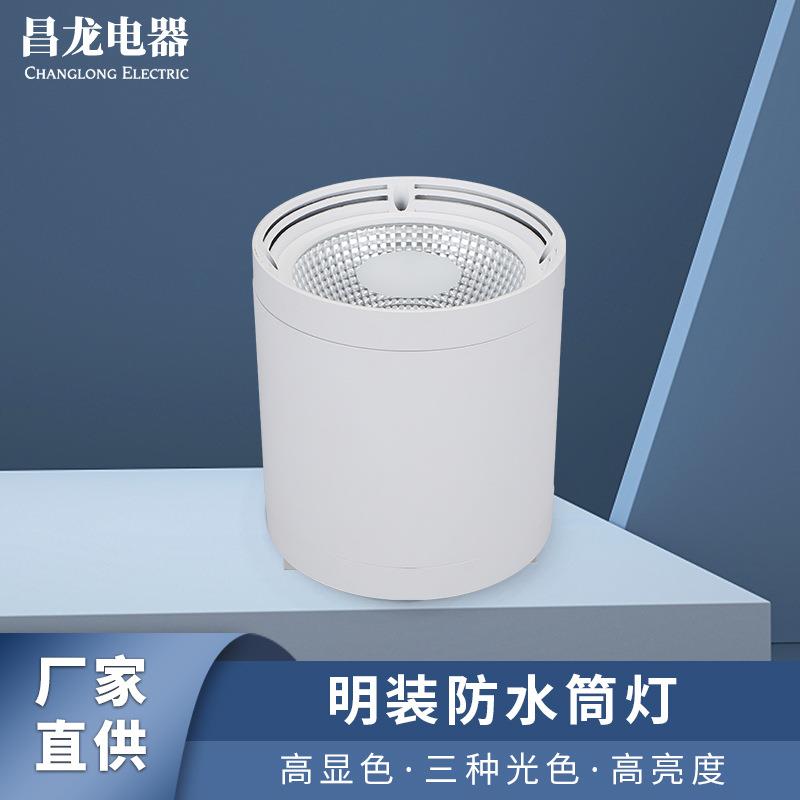 碗莲系列筒灯阳台照明户外店铺酒店走廊门头雨棚明装筒灯