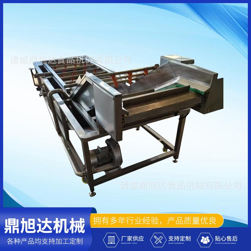 果蔬气泡清洗机全自动翻浪提升式洗果机高压喷淋净菜加工流水线