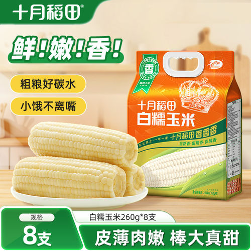 十月稻田白糯玉米低脂大棒黏苞米260gx8真空装包装袋粘糯香大棒