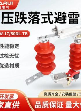氧化锌避雷器可卸式避雷器HY5WS-17/50DL-TB10KV跌落式避雷器