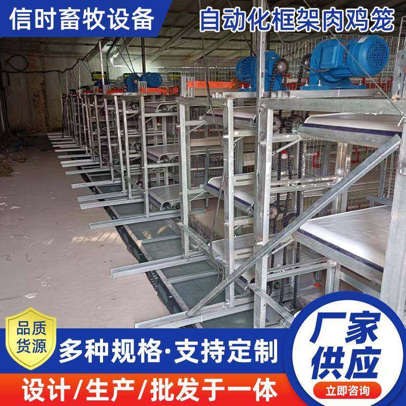 全自动框架肉鸡笼层叠式养鸡设备加密加粗肉鸡笼厂家自动清粪设备,畜牧/养殖物资,特种养殖设备,淘宝优惠券,粉丝福利购,淘宝优惠卷