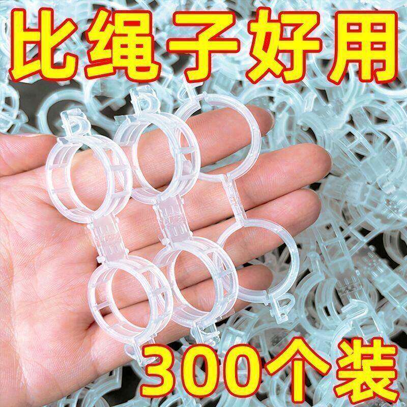 黄瓜西红柿豆角爬藤枝条固定器绿植蔬菜捆绑扎带藤蔓专用吊秧夹