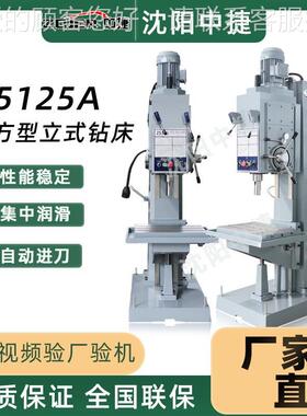 立式钻床Z5125钻方攻一体Z钻512自动进给柱Z512A立式钻床立机式床