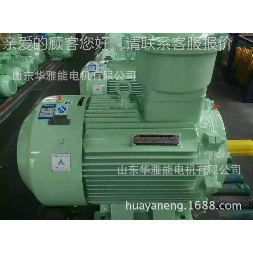 YTSP355L2-4-315纸机机替代新普电YYVP-355LSP电机H级/IP67新出图