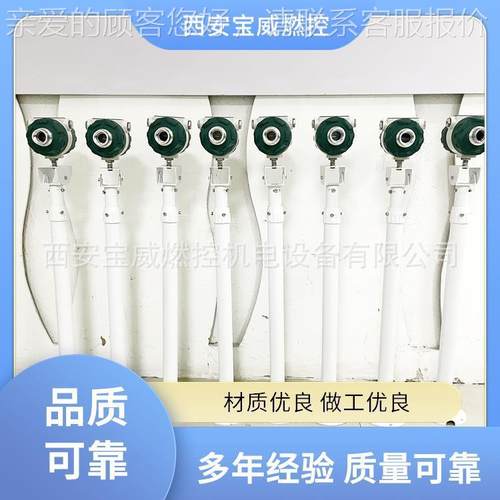 控宝威燃BWZJ-FTA废气BWZJ-FTA处火理炬焰监测火设备厂家