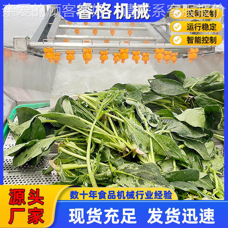 花全用自动果蔬气泡清洗 商包装食品机冷YUG却线 生玉米清洗流水