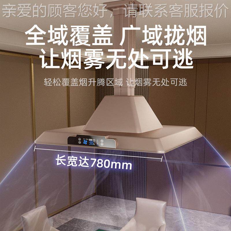 净麻将机吊化器吸咨询客服烟灯棋牌室空气大净化灯麻将房排气扇升