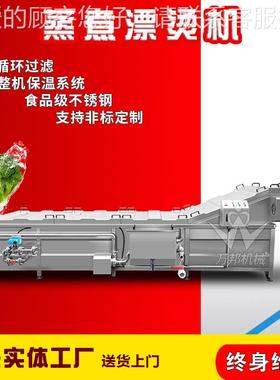 厂家工业菠杀机 高IZV温汤水匙菜预煮机 预制菜加工漂菜烫护青色