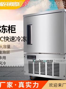 立式急SD-150L冻柜速冰淇淋包子冻柜4海参水饺冰棒零下0度插盘柜