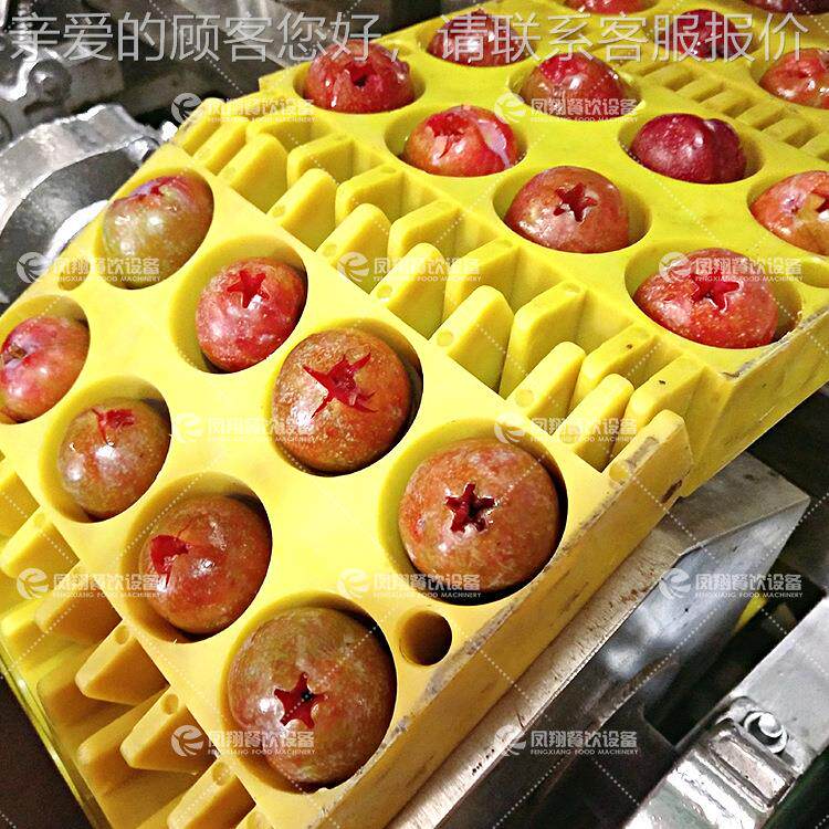 厂直销FJG全自动李子去水核工机樱桃子取核机商用小型果脱李核机