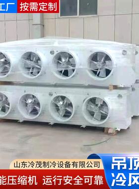 小型冷库吊顶冷风机DD250/DL330/DJ180铜管翅片蒸发器空气冷却器