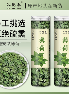 沁晚春正品旗舰店薄荷叶茶叶当季新货干薄荷茶食用薄荷泡水泡茶喝