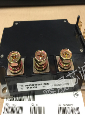 PM300DVA120 203 PM400DVA060-4 PM450DV1A120 PM600DVA060 模块