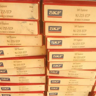 IAN NJ215ECP 瑞典轴承NU 216 217 218 219 220 221 222 224 226A