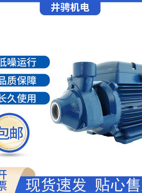 宾泰克铸铁水泵PM45PM80热水循环泵增压泵电动家用暖气热水泵批发