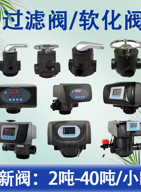 外贸润新动全自动软化阀2L/H水处理控制阀F65A过滤阀F71Q1N74A1