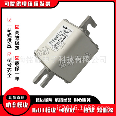 170M5147 170M5148 170M5149 170M5150 巴斯曼熔断器