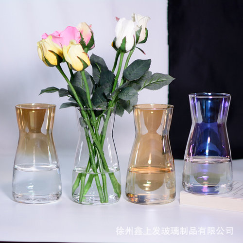 北欧简约炫彩透明花瓶水养百合富贵竹玻璃插花瓶客厅餐桌创意摆件