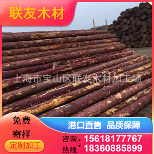 厂家供应大小径落叶松原木 木桩 打桩木 河道打桩木 煤矿坑木