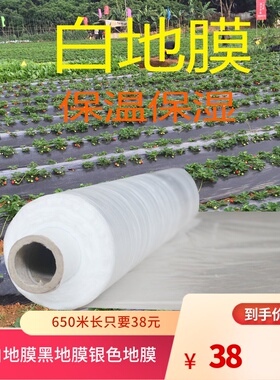 白地膜农用银黑色薄膜果树果园保温保湿蔬菜棚工程混凝土保护薄膜