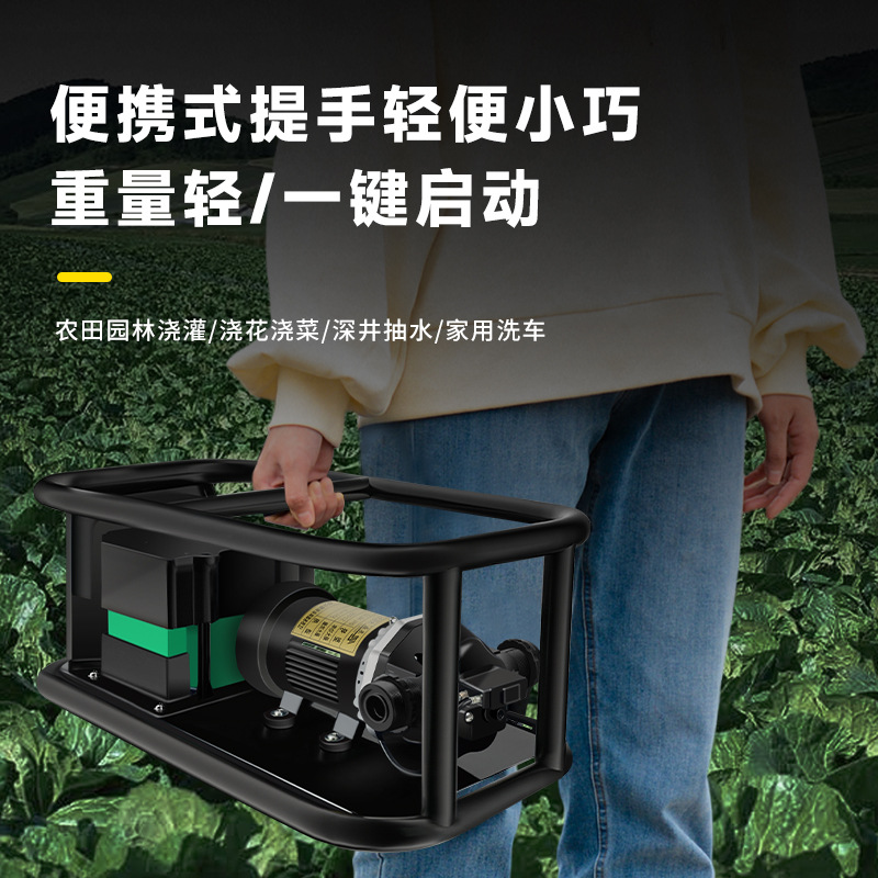 名磊12v充电式抽水泵农村浇菜神器浇水机农用灌溉户外浇地抽水机
