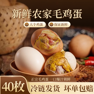 【40枚】毛鸡蛋半鸡半蛋生21天全鸡半毛生烧烤摆地摊整箱商用批发