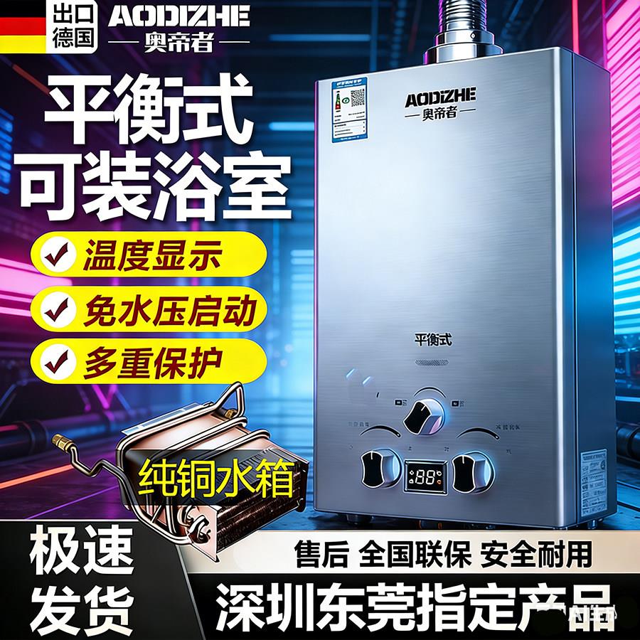 德国出口】平衡式燃气热水器家用天然气液化气煤气瓶东莞室内专用