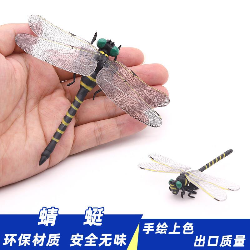 实心仿真蜻蜓模型蚂螂玩具昆虫儿童认知礼品摆件
