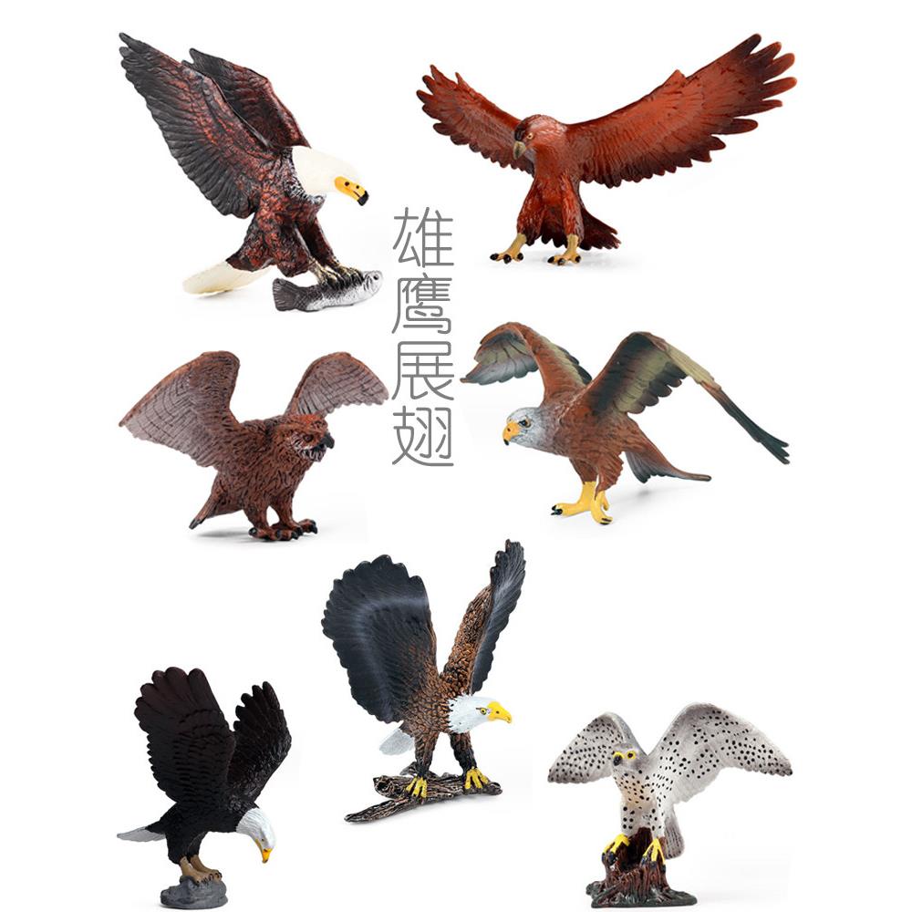 雄鹰展翅仿真小模型金雕非洲鱼鹰白头海雕鸮游隼秃鹫蛇鹫儿童玩具