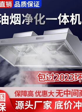 油烟净化器一体机商用饭店食堂厨房抽油烟机餐饮低空排放环保烟罩
