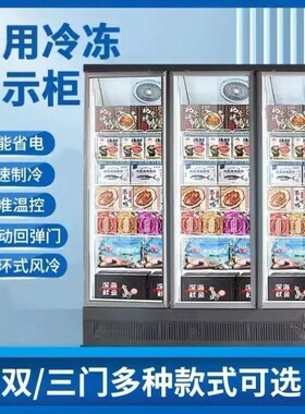 冷冻展示柜商用速冻柜急冻肉类榴莲三门立式冰箱双门展示低温冰柜